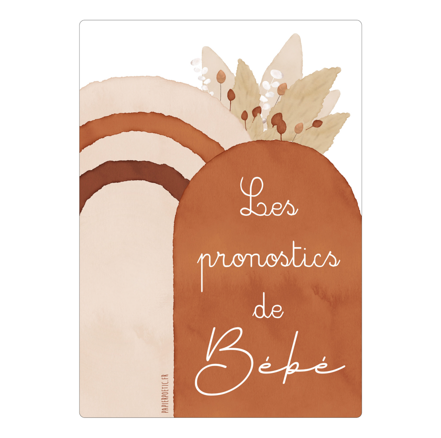 Cartes Baby Shower - Pronostics bébé "Bohème"
